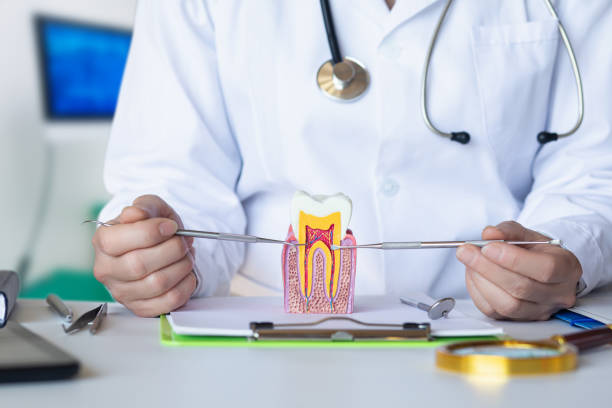 Best Mobile Emergency Dentist in Indian Head, MD